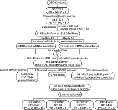 Identifying a Comprehensive ceRNA Network to Reveal Novel Targets for the Pathogenesis of Parkinson's Disease